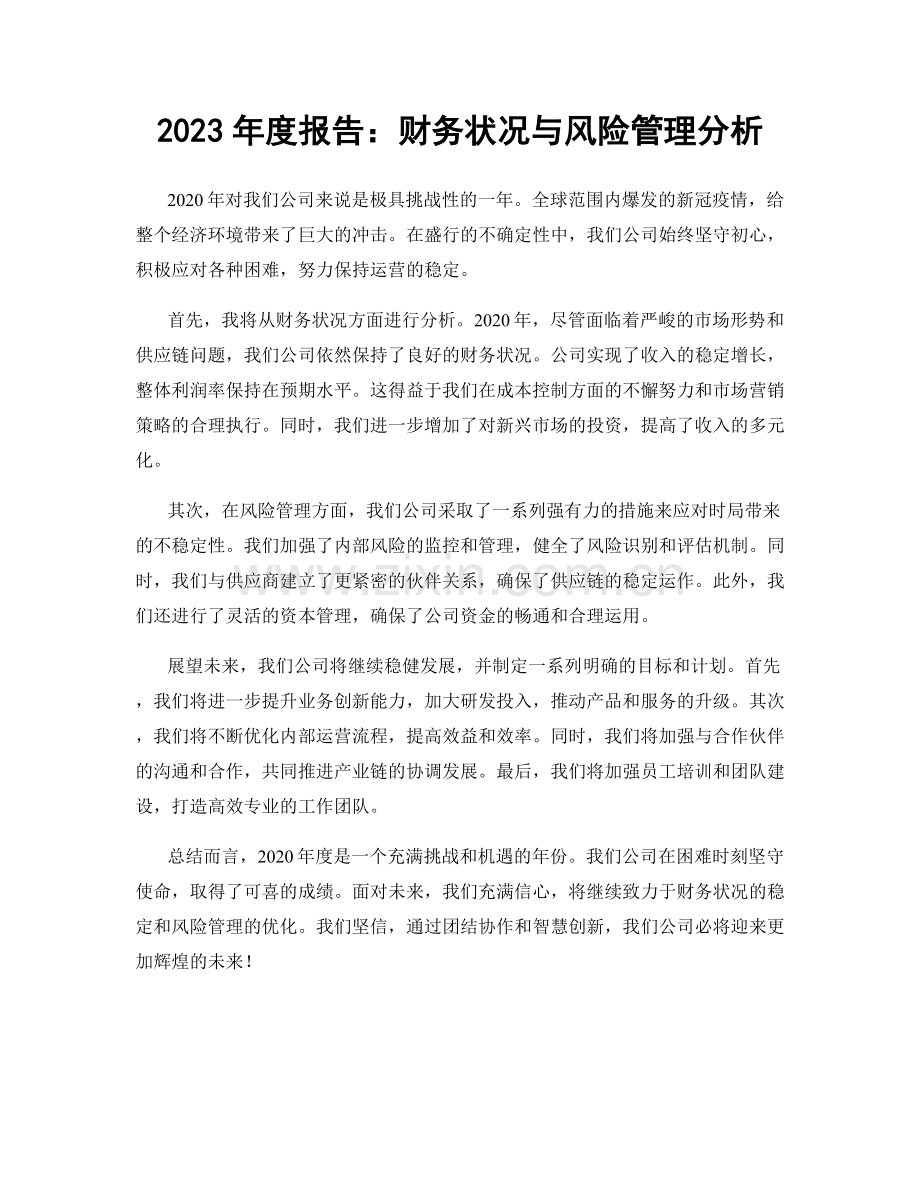 2023年度报告：财务状况与风险管理分析.docx_第1页