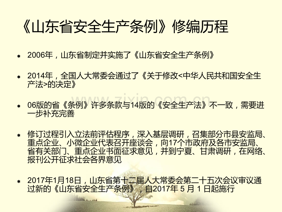 山东省安全生产条例培训课件.ppt_第2页