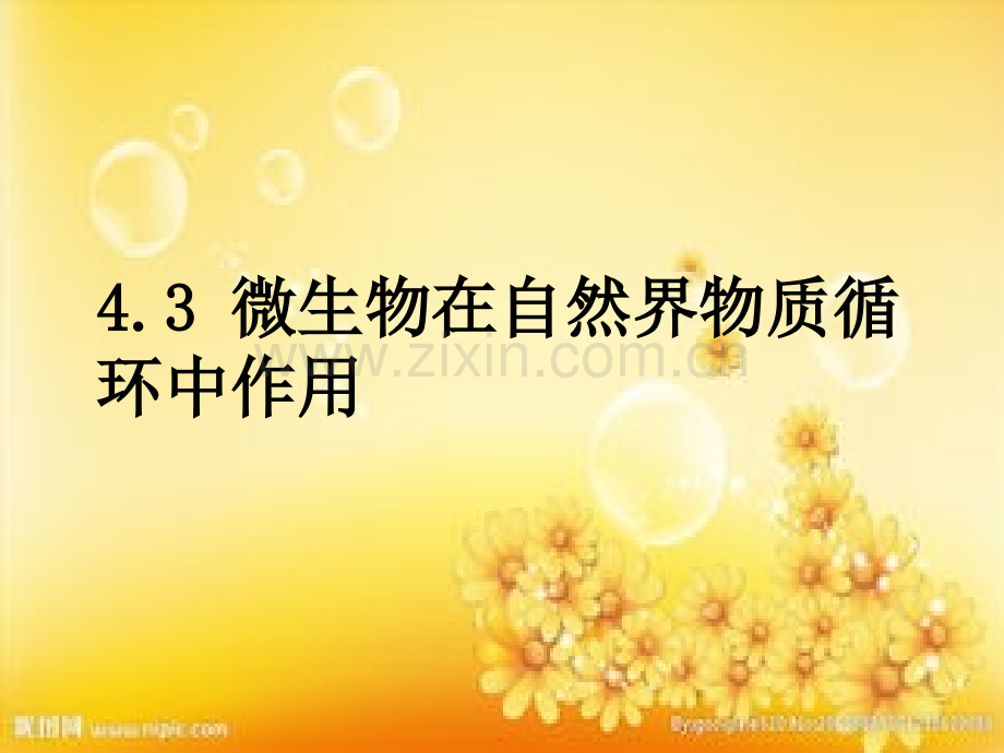 微生物在自然界物质循环中的作用.ppt_第1页