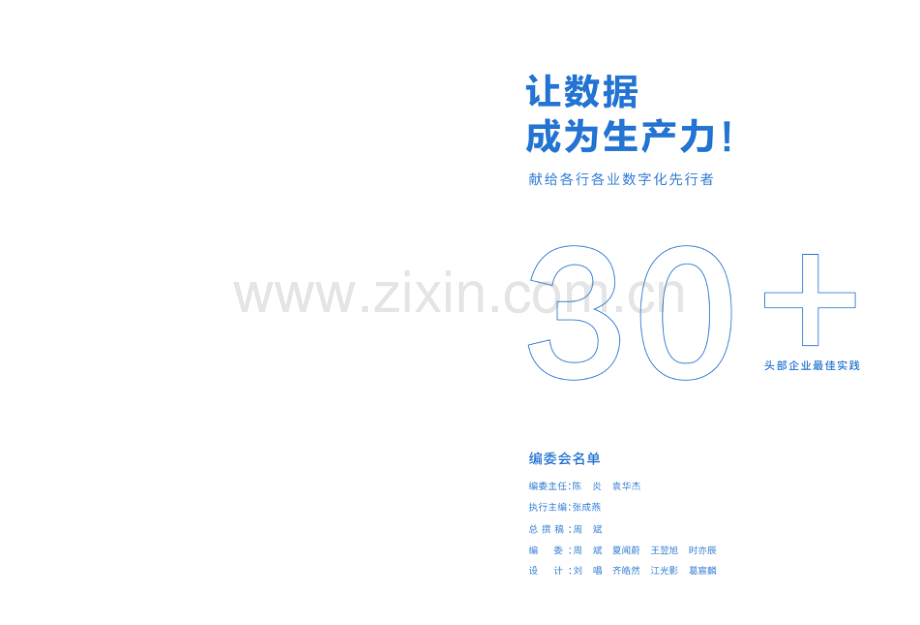 头部数字化转型标杆企业的理论与实践：数字化力量.pdf_第2页