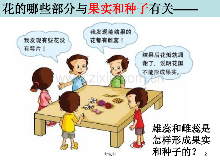 教科版四年级科学下册花果实和种子.ppt_第2页