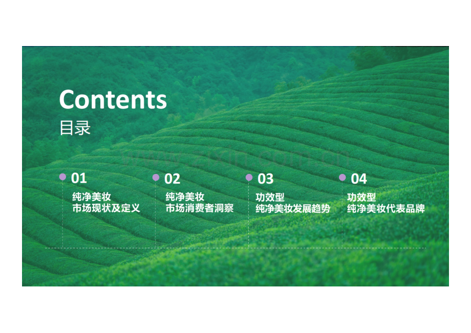 功效型纯净美妆市场洞察.pdf_第2页