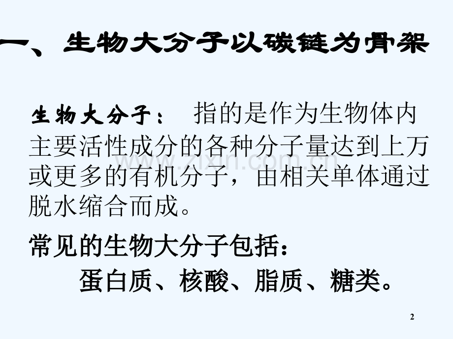 必修一-PPT.第二章第三节--生物大分子(北师大版).ppt_第2页