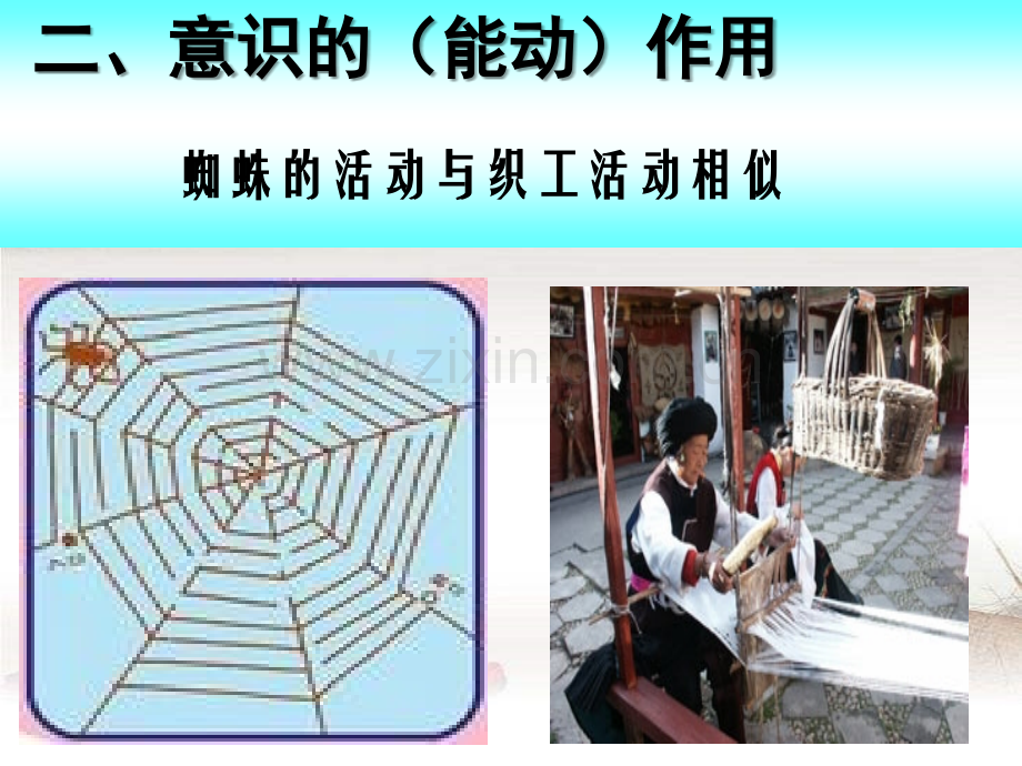意识的作用..ppt_第2页