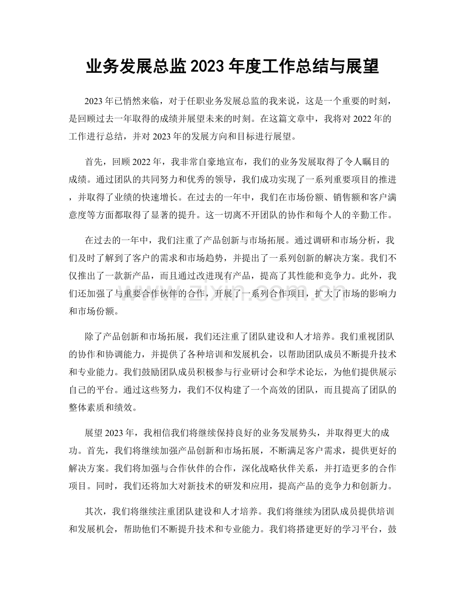 业务发展总监2023年度工作总结与展望.docx_第1页