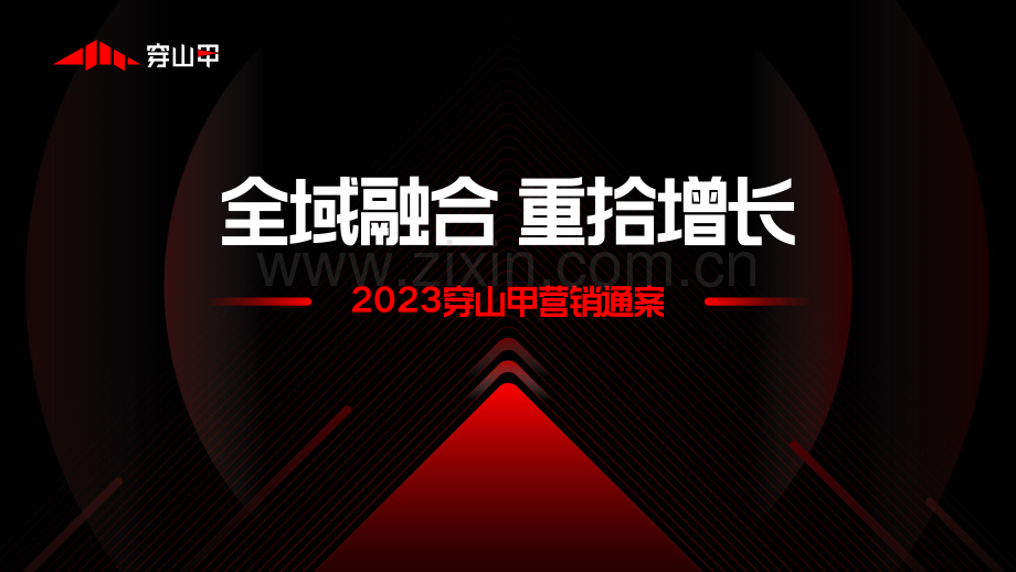 全域融合重拾增长.pdf_第1页