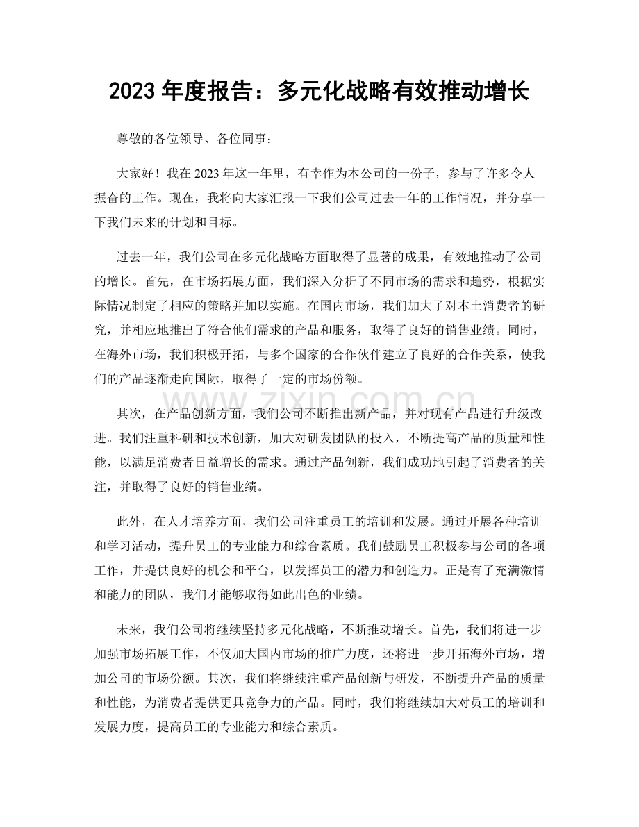 2023年度报告：多元化战略有效推动增长.docx_第1页