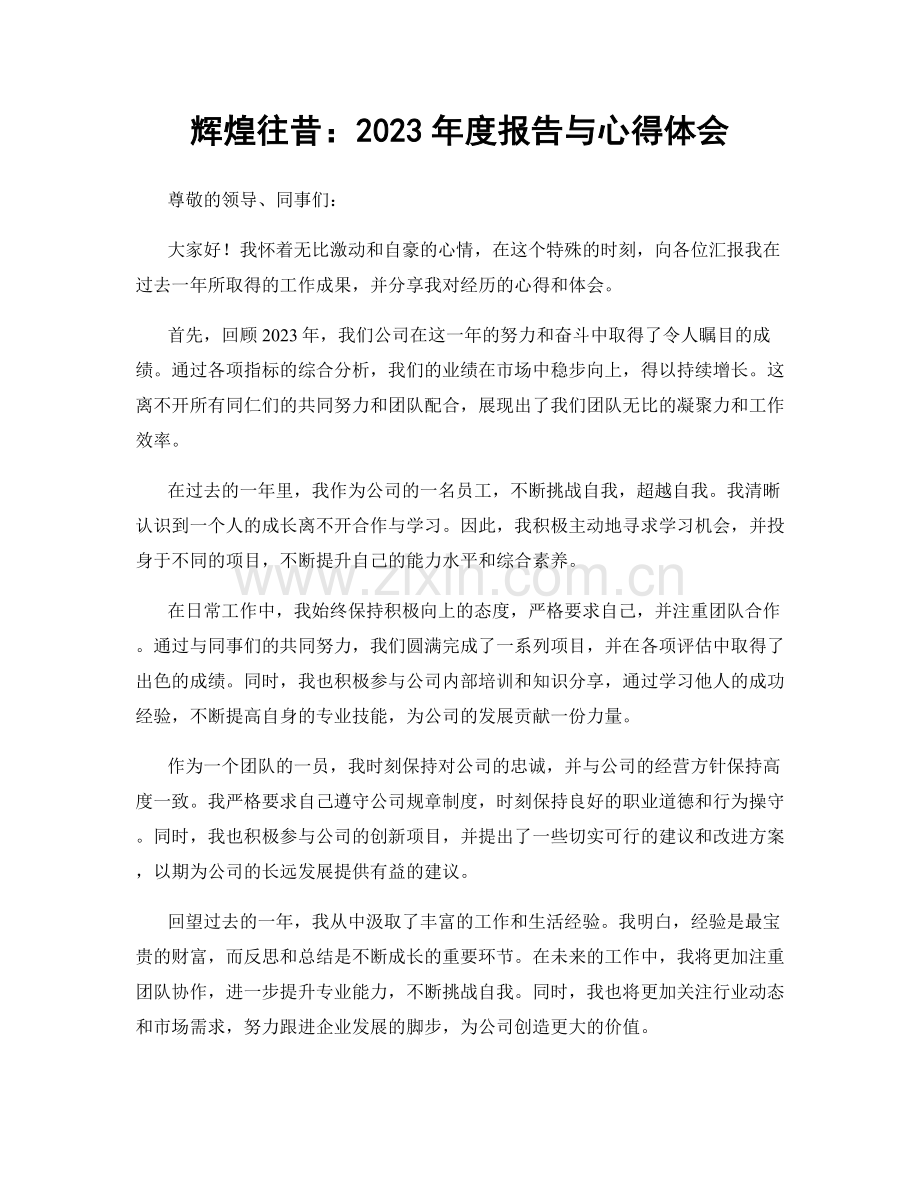辉煌往昔：2023年度报告与心得体会.docx_第1页