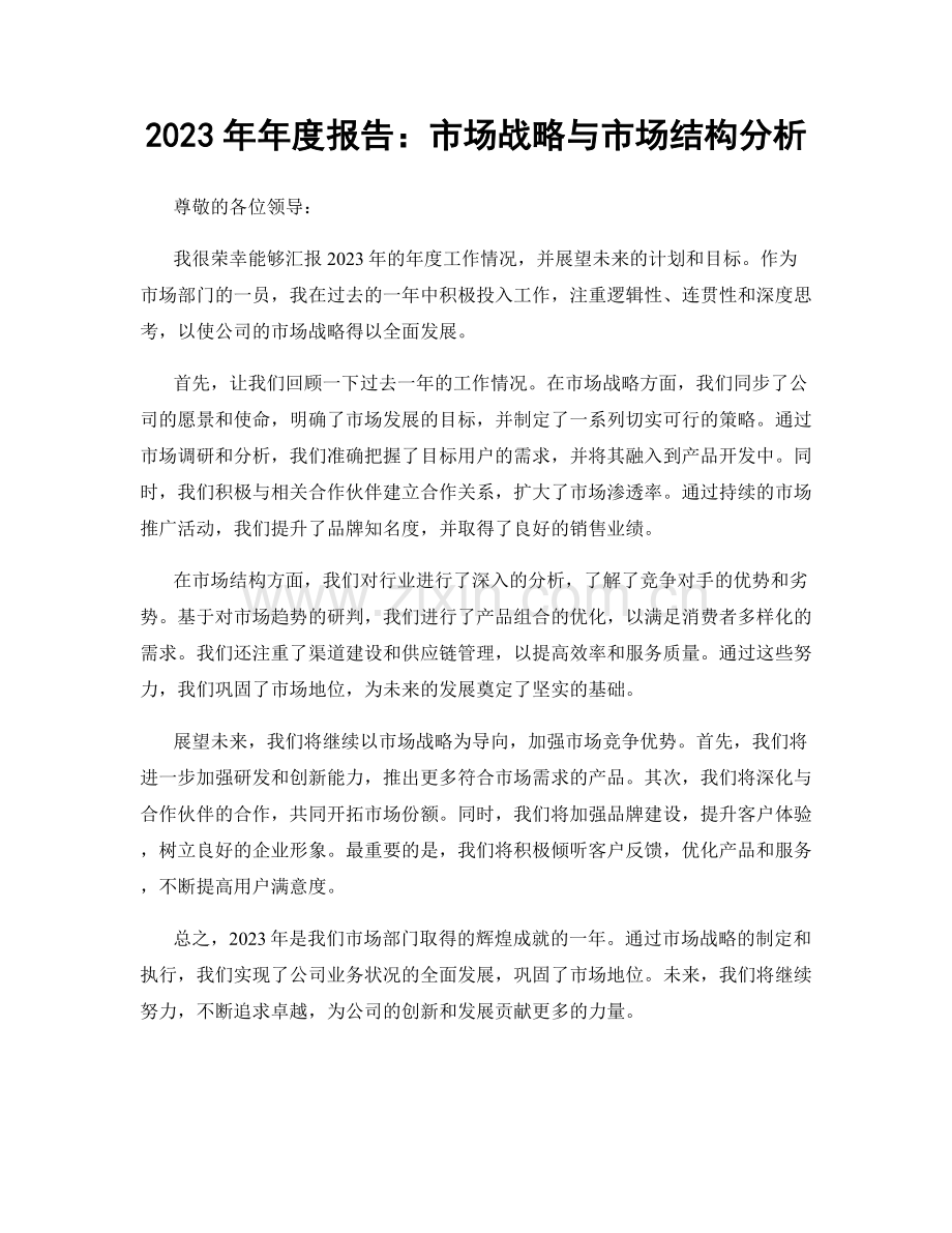 2023年年度报告：市场战略与市场结构分析.docx_第1页