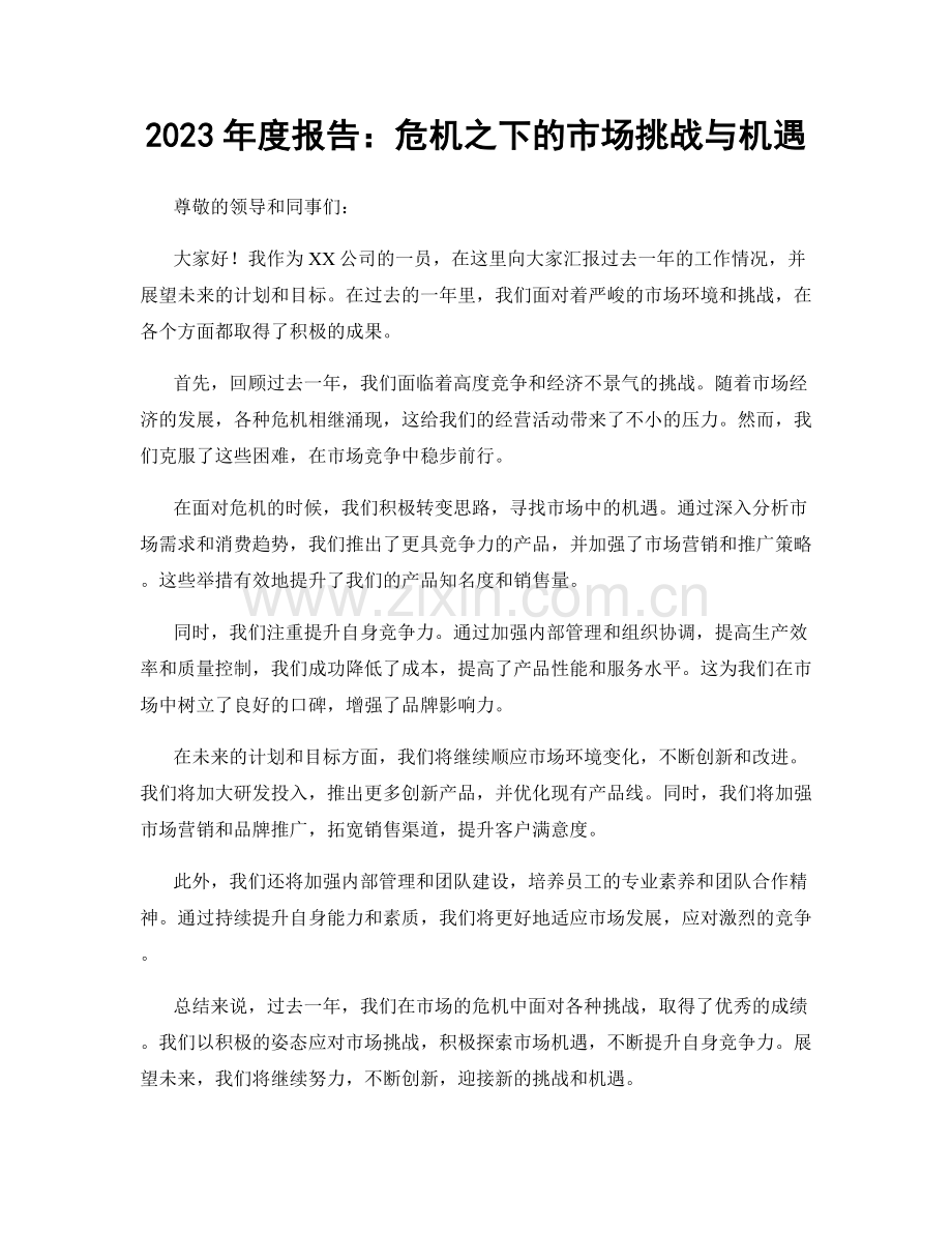 2023年度报告：危机之下的市场挑战与机遇.docx_第1页