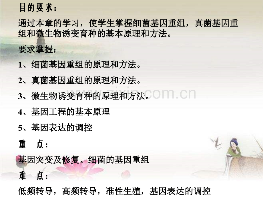 微生物遗传变异.ppt_第2页