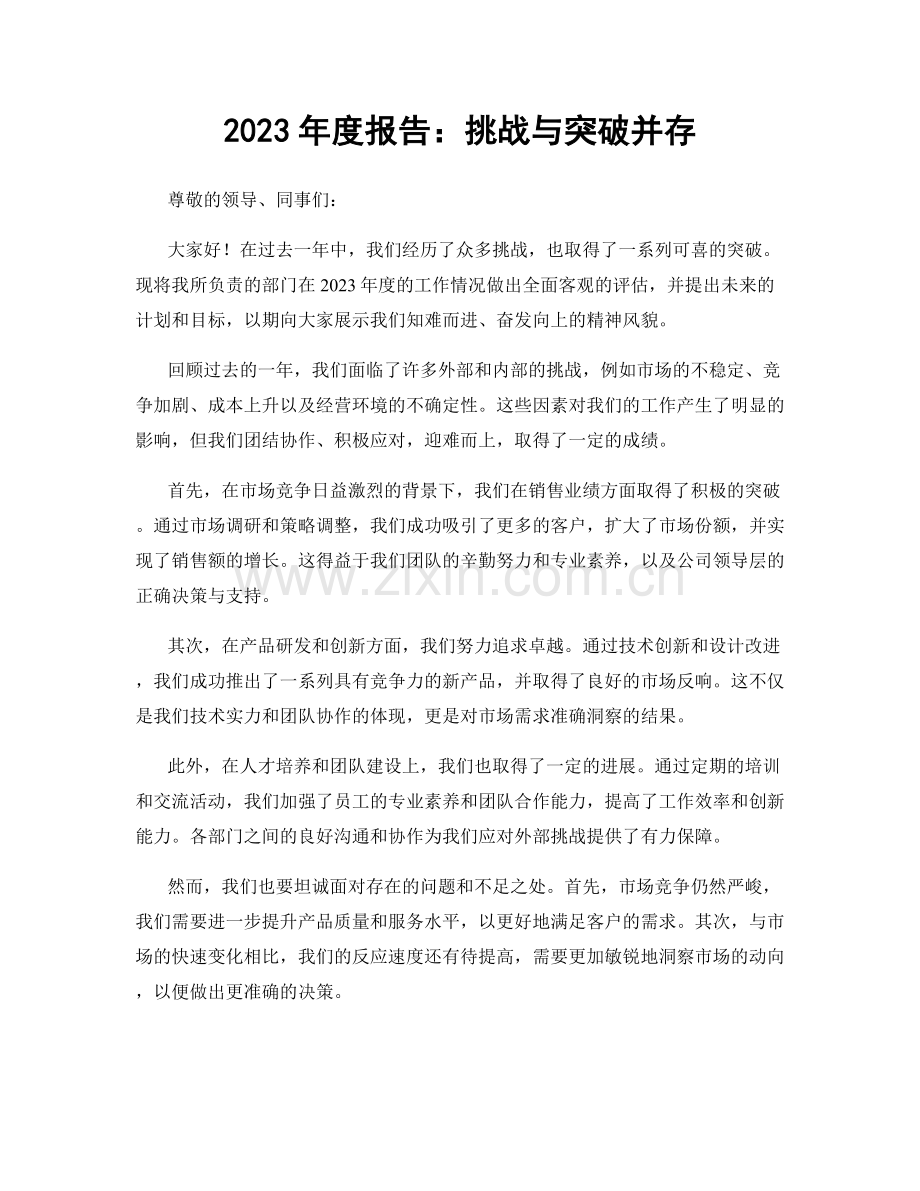 2023年度报告：挑战与突破并存.docx_第1页