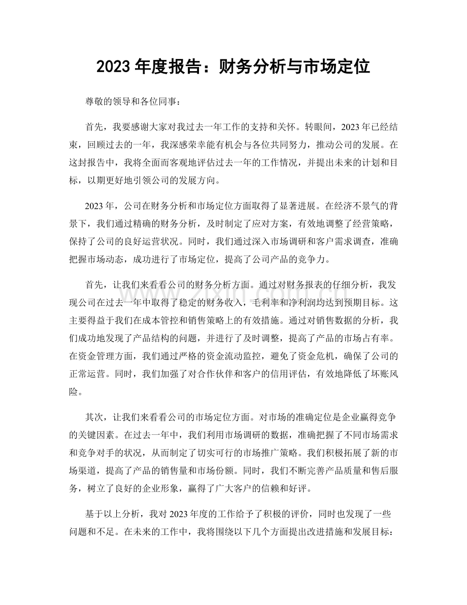 2023年度报告：财务分析与市场定位.docx_第1页