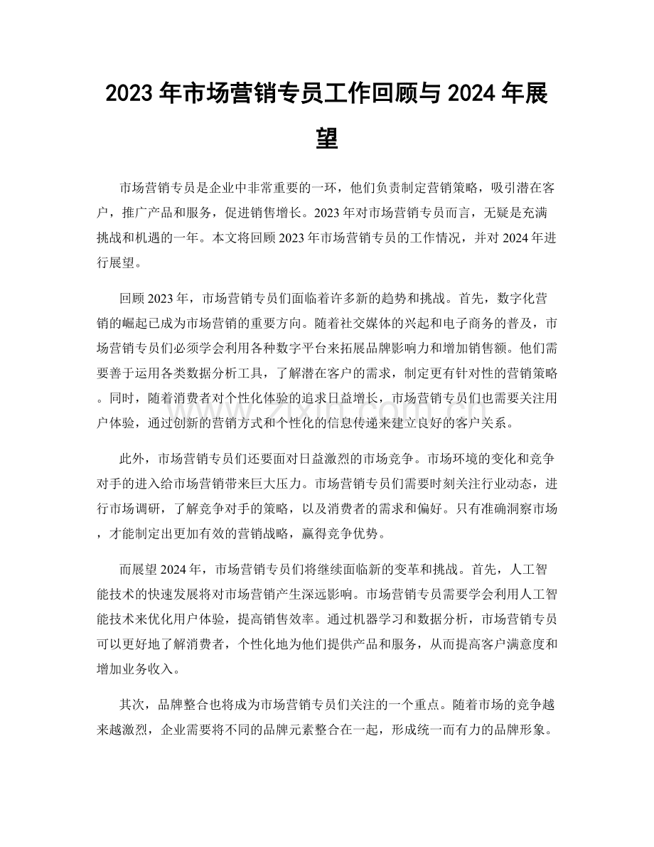 2023年市场营销专员工作回顾与2024年展望.docx_第1页