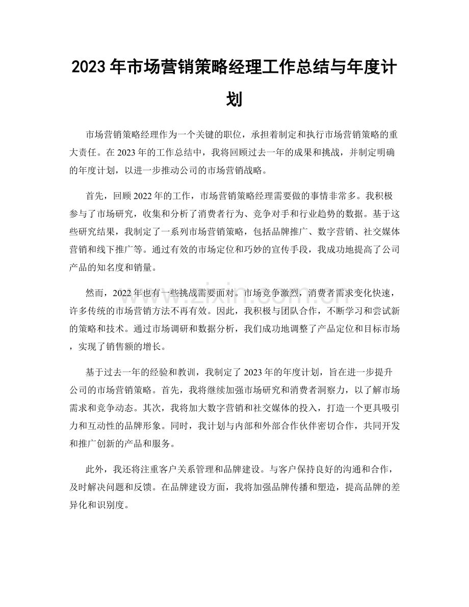 2023年市场营销策略经理工作总结与年度计划.docx_第1页