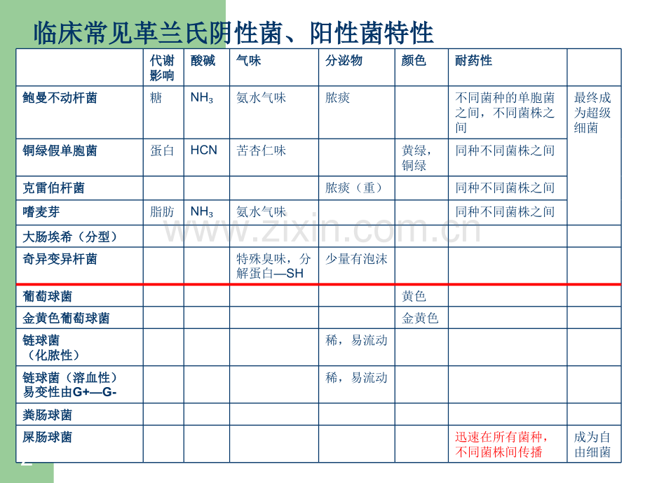 抗菌药物指导原则一部分.ppt_第2页