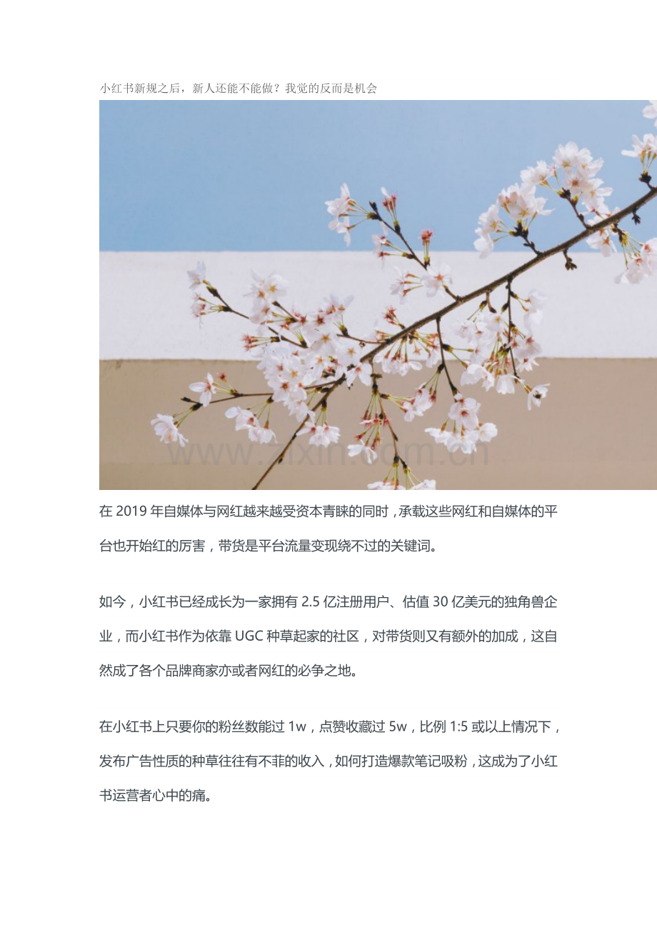 小红书理论与实操0001 小红书KOL速成指南：爆款笔记的秘密.doc_第1页
