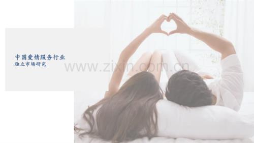中国爱情服务行业独立市场研究.pdf