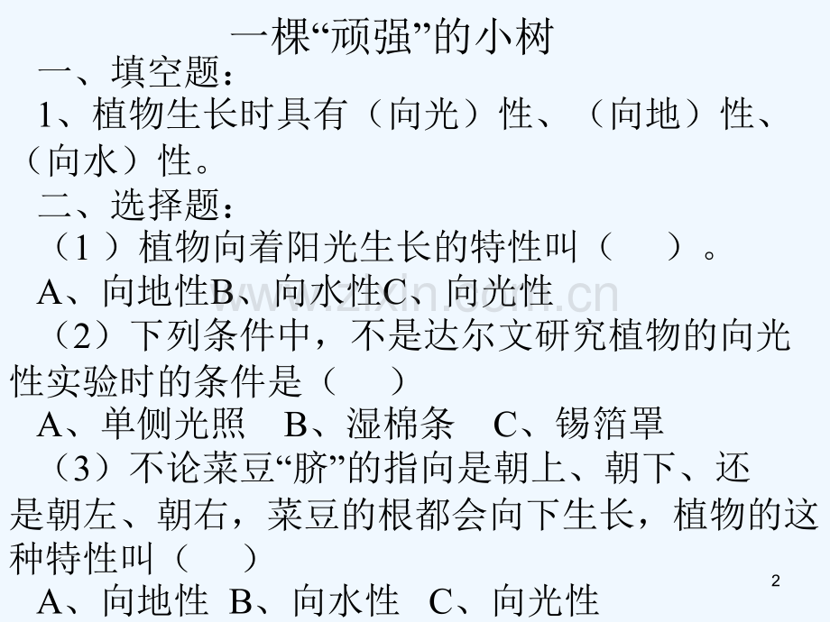 小学六年级上科学期末总复习(武).ppt_第2页