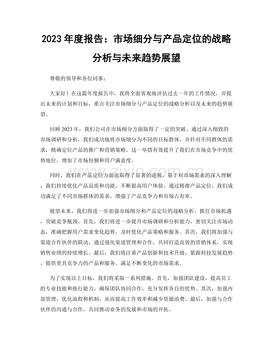 2023年度报告：市场细分与产品定位的战略分析与未来趋势展望.docx_第1页