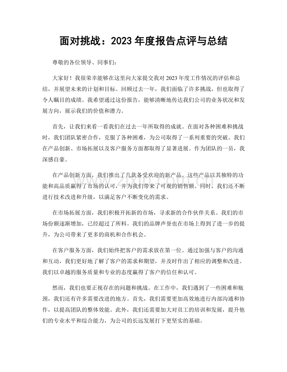 面对挑战：2023年度报告点评与总结.docx_第1页