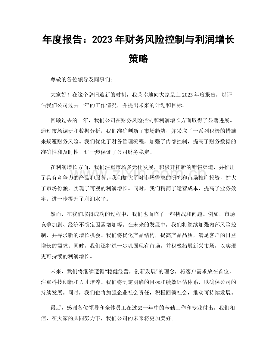 年度报告：2023年财务风险控制与利润增长策略.docx_第1页