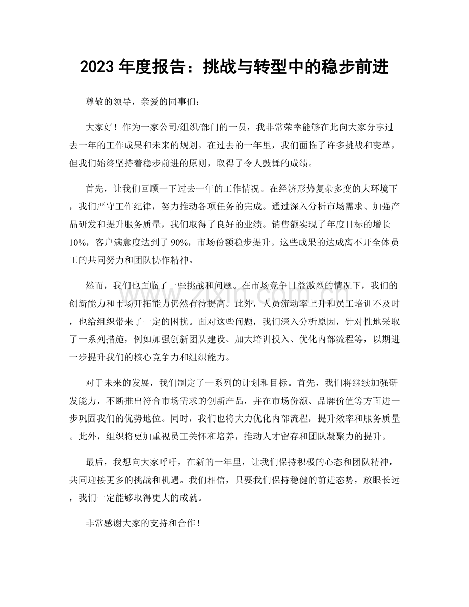 2023年度报告：挑战与转型中的稳步前进.docx_第1页