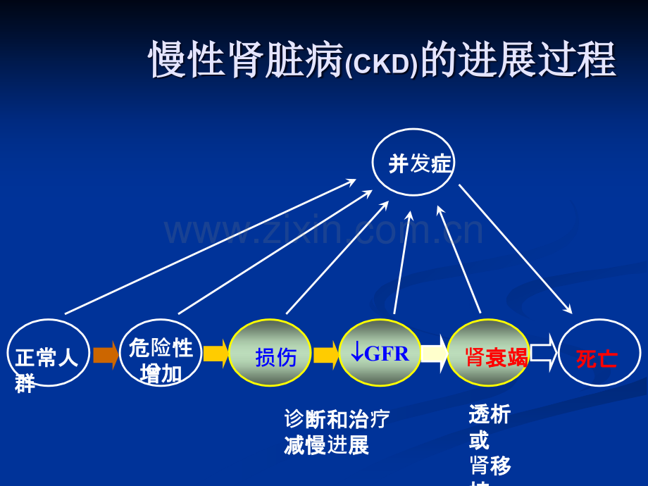 慢性肾脏病的治疗与监测.ppt_第2页