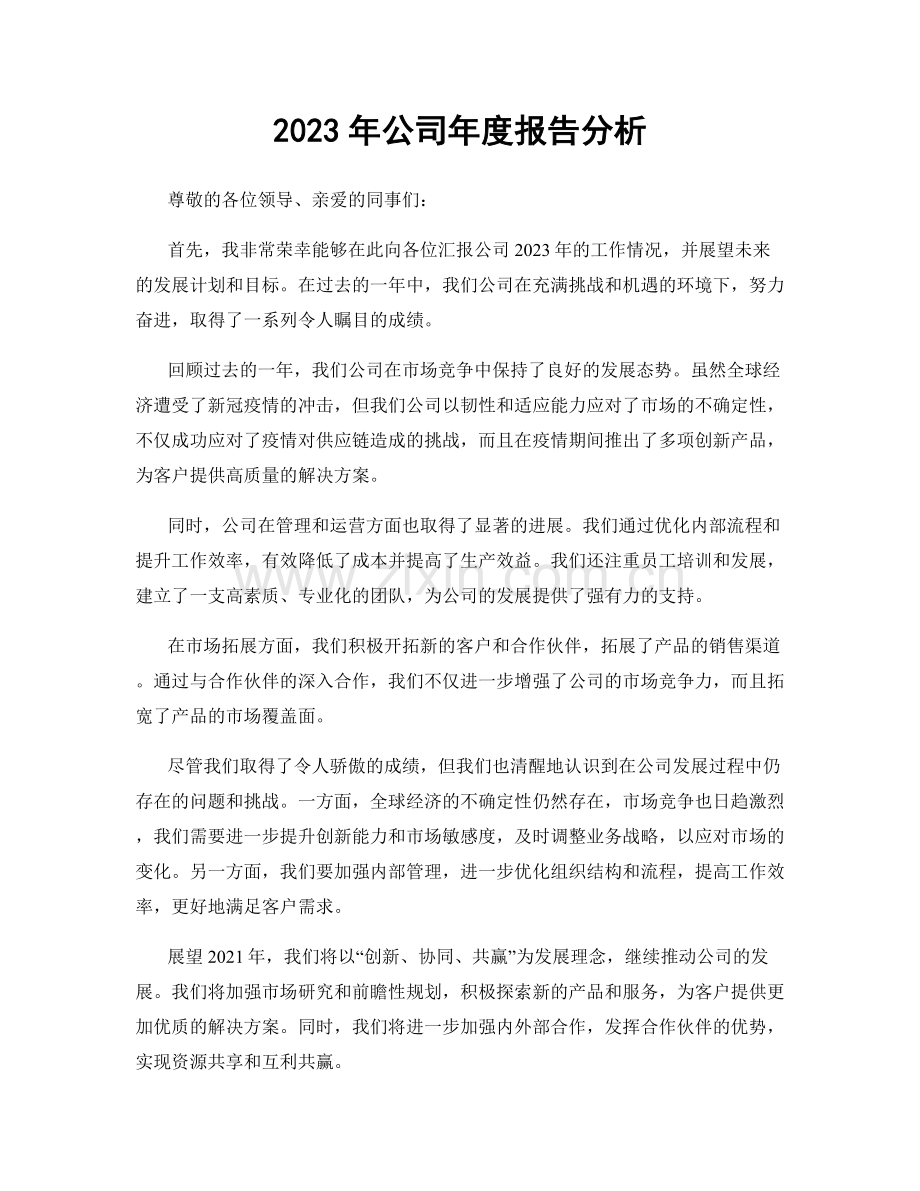 2023年公司年度报告分析.docx_第1页