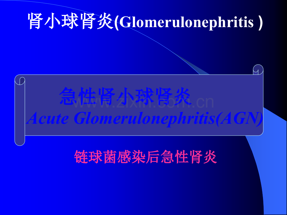 急性肾小球肾炎的护理0ppt课件.ppt_第2页