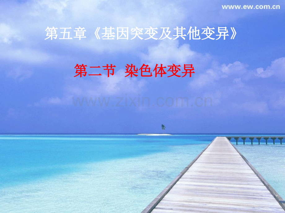 染色体变异说课课件人教版.ppt_第1页