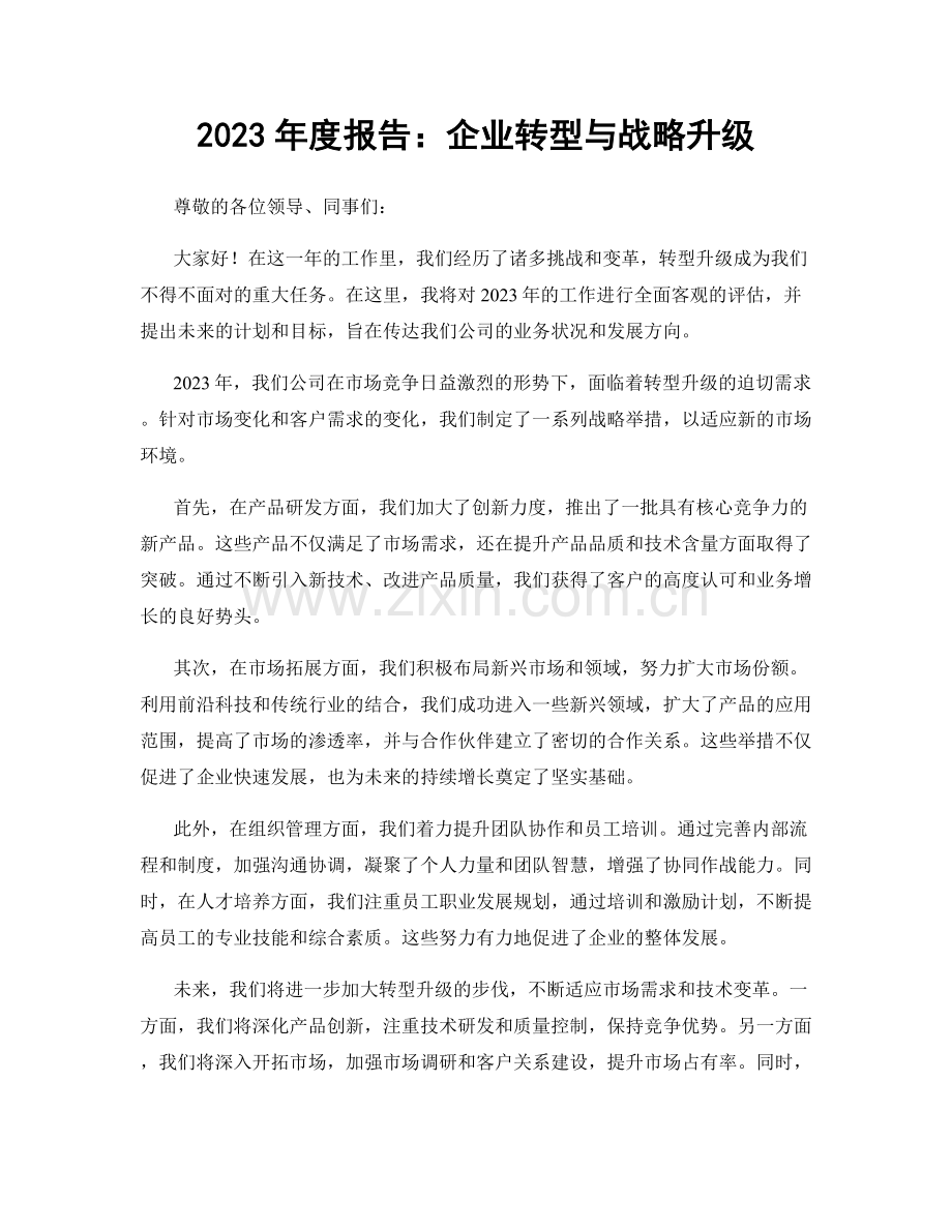 2023年度报告：企业转型与战略升级.docx_第1页