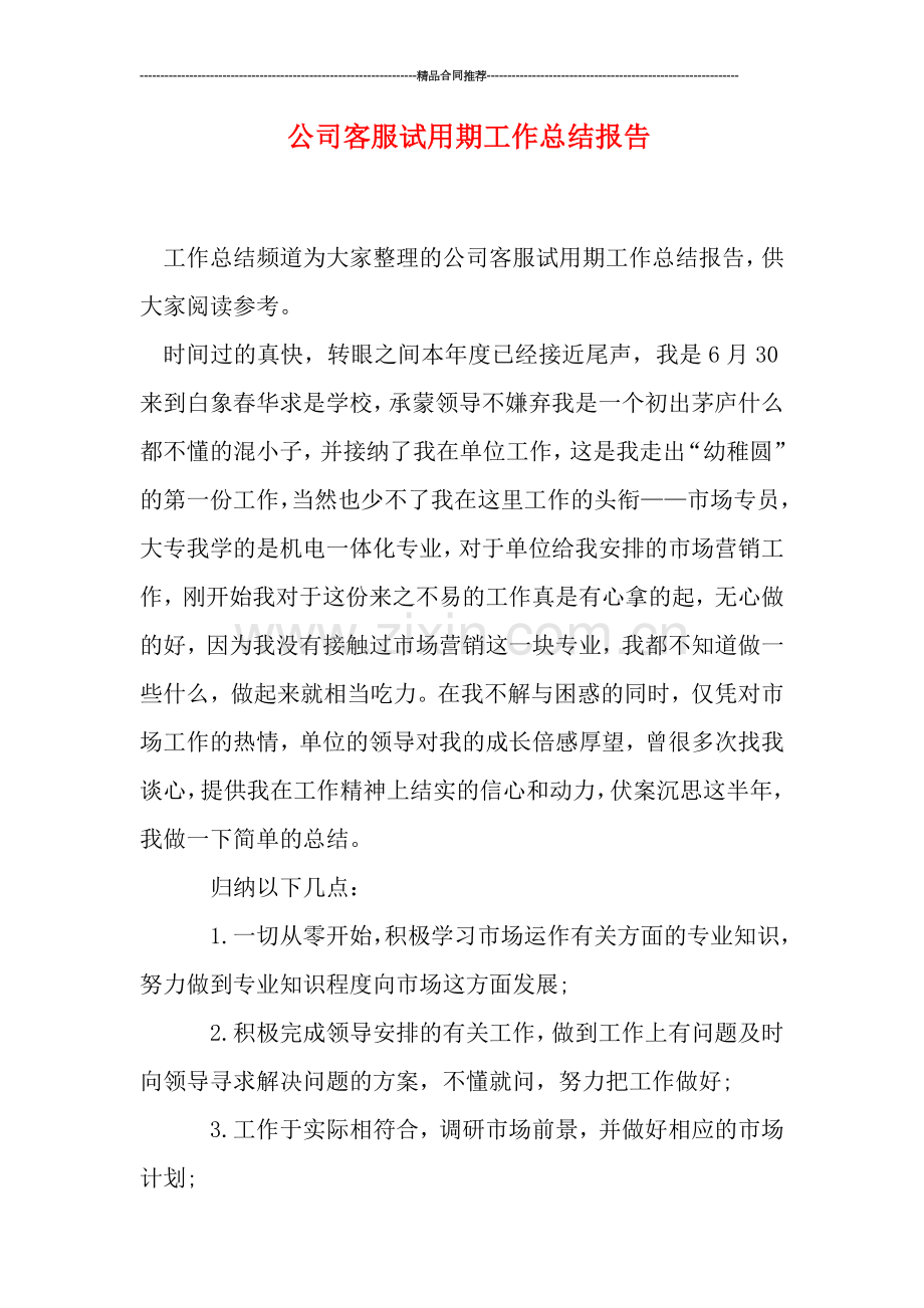 公司客服试用期工作总结报告.doc_第1页
