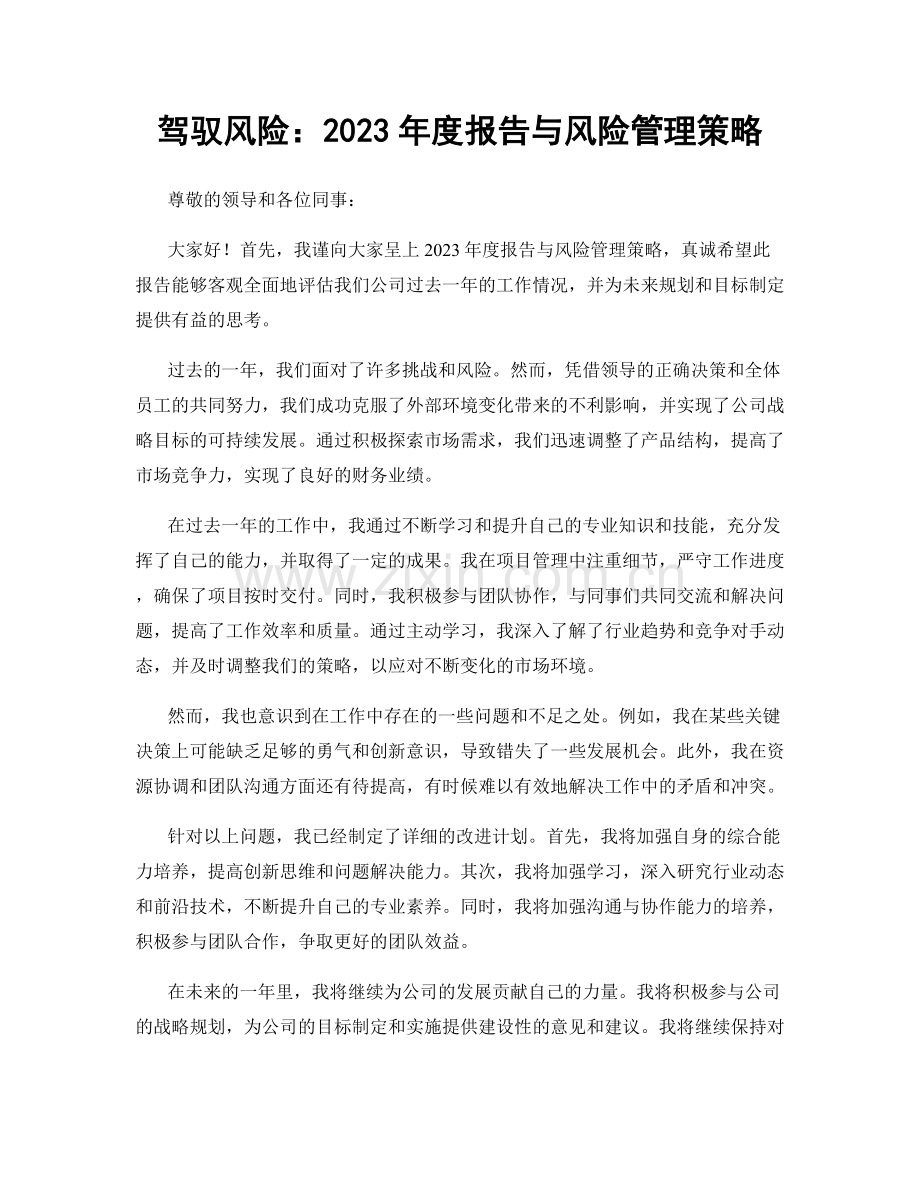 驾驭风险：2023年度报告与风险管理策略.docx_第1页