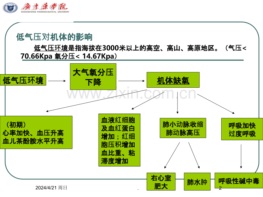 讲座(三)高原病学习文档.ppt_第2页