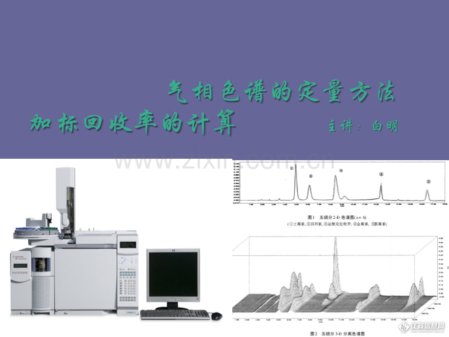 气相色谱定量方法及加标回收率的计算.ppt_第1页