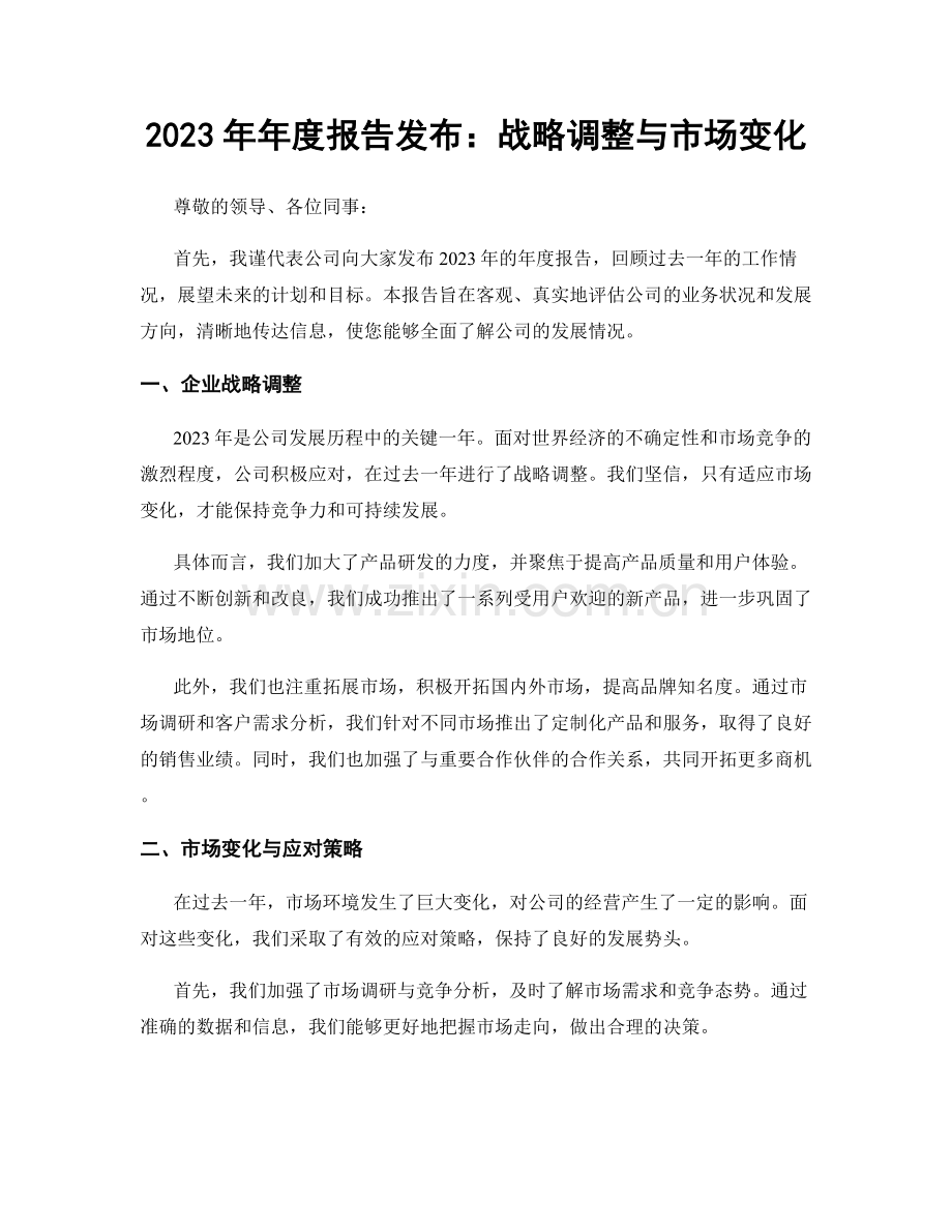 2023年年度报告发布：战略调整与市场变化.docx_第1页