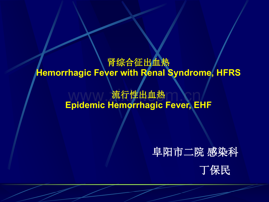 肾综合症出血热.ppt_第1页