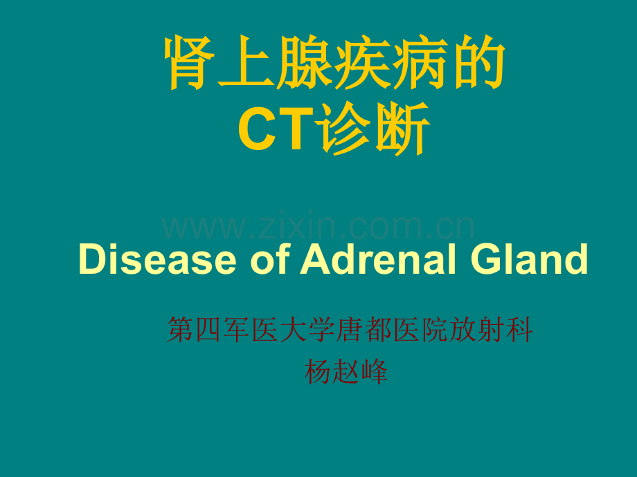 肾上腺肿瘤资料.ppt_第1页