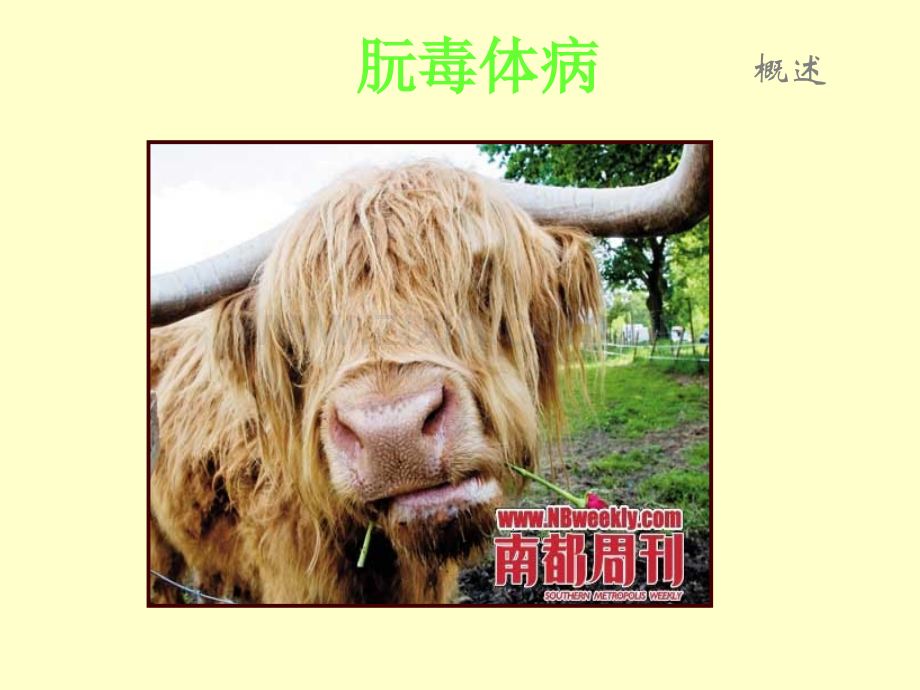 朊毒体感染的临床特点.ppt_第2页
