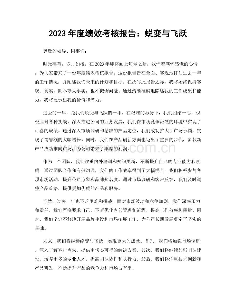 2023年度绩效考核报告：蜕变与飞跃.docx_第1页