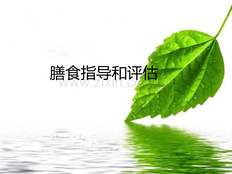 膳食指导和评估ppt.ppt_第2页