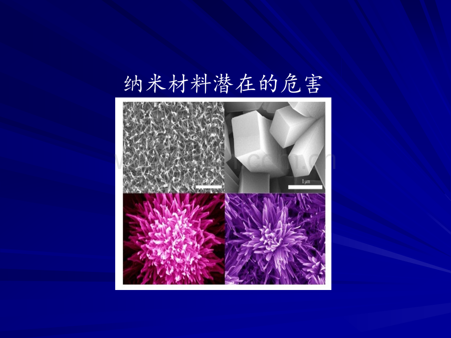 纳米材料的危害.ppt_第1页