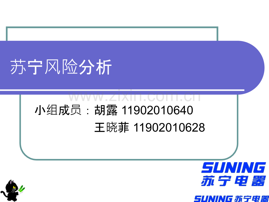 苏宁风险分析.ppt_第1页