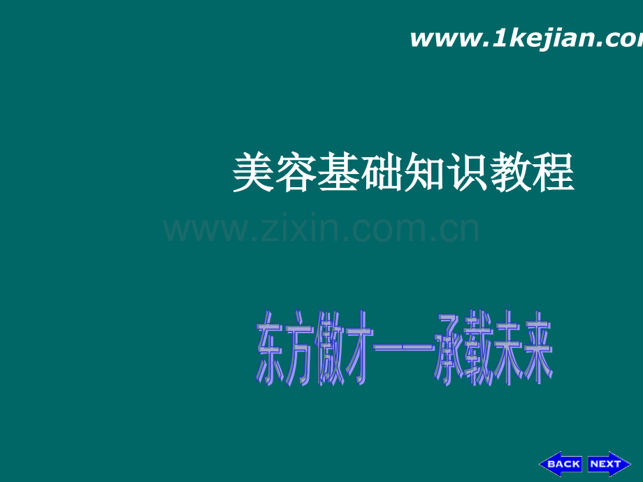 美容基础知识培训内容.ppt_第1页