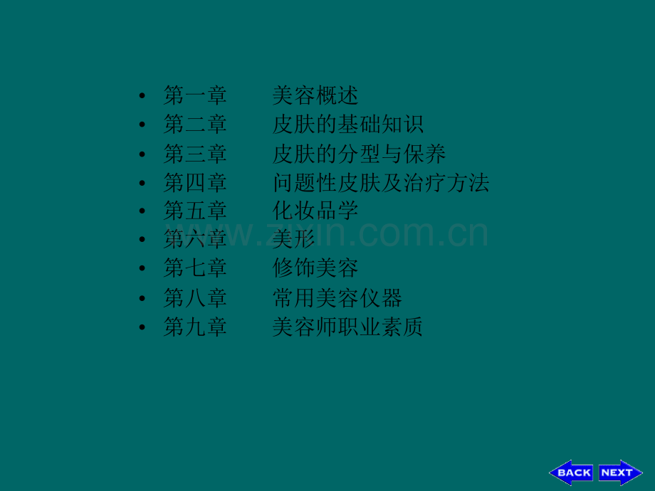 美容基础知识培训内容.ppt_第2页