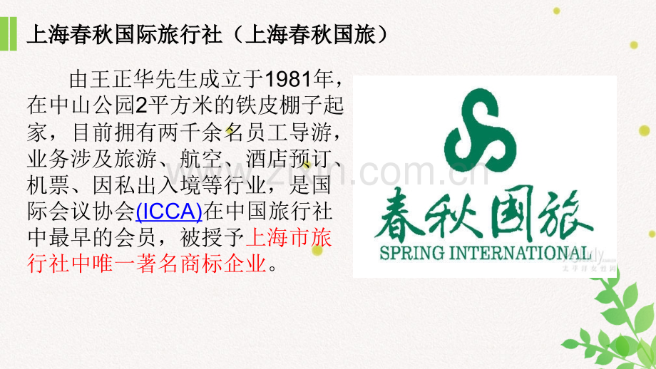 旅行社的设立.pptx_第2页