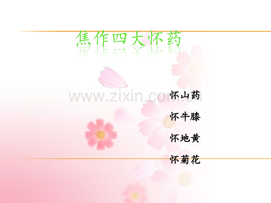 焦作四大怀药.ppt_第1页