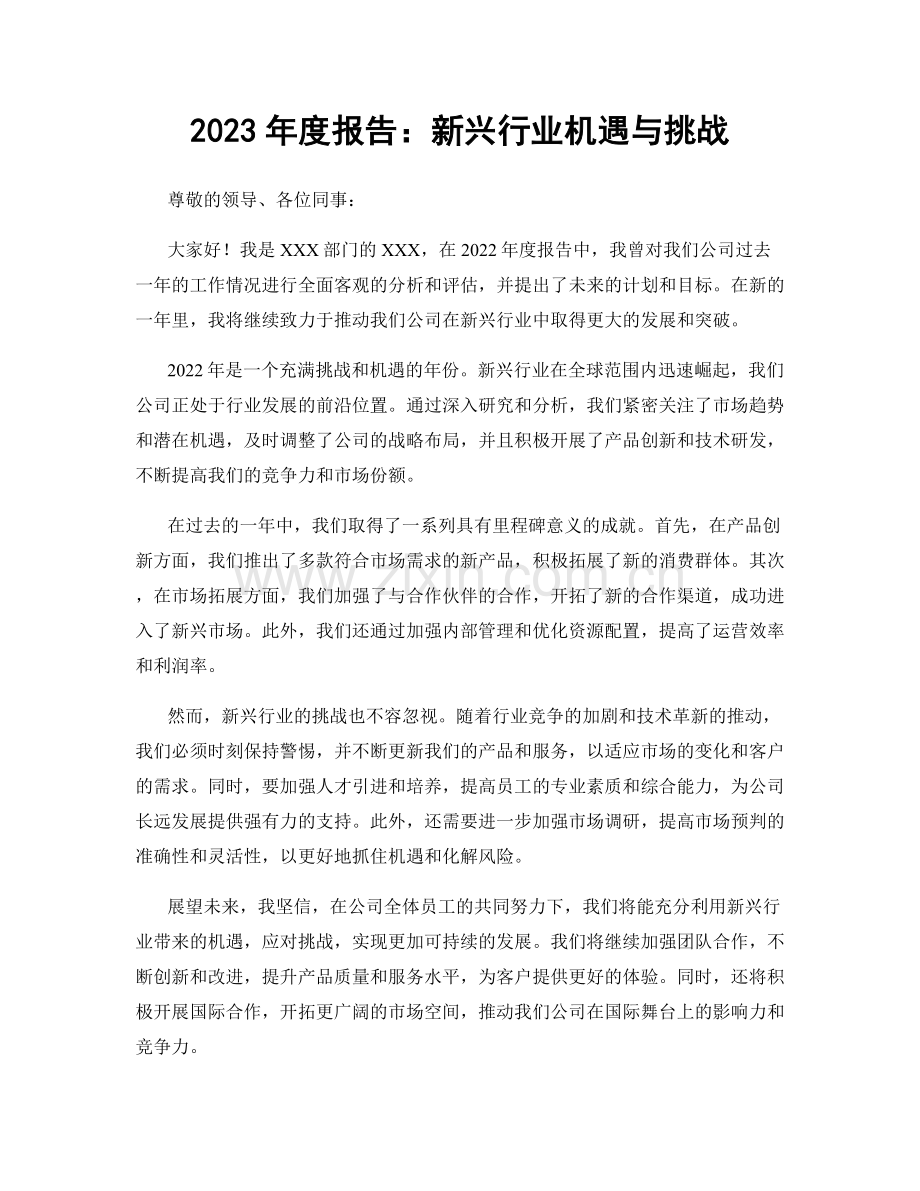 2023年度报告：新兴行业机遇与挑战.docx_第1页