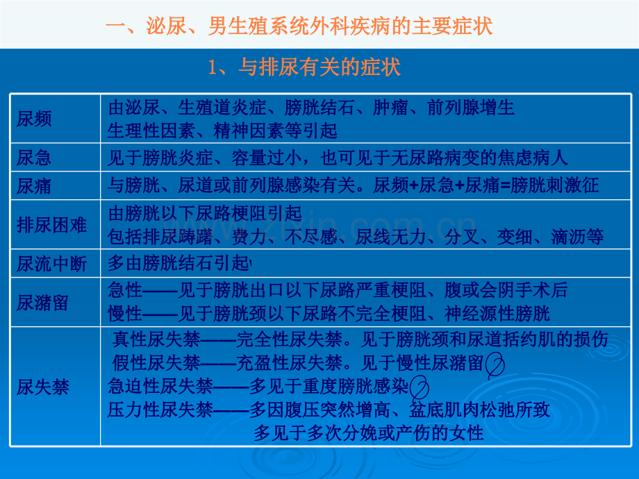 考研西医综合冲刺.ppt_第2页